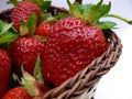 Strawberry basket