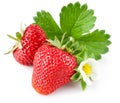 strawberry berry with green leaf and flower