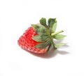 Strawberry berry leaves to the camera close up lies isolated on a white background Royalty Free Stock Photo