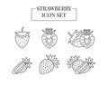 Strawberry berry whole and half, cut into slices, set of line icons in vector. Royalty Free Stock Photo