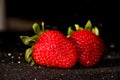 Strawberry on a black background. Brilliant background with berries