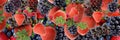 Strawberry and blackberry background banner fruits and berry vitamines healhy food vegan banner