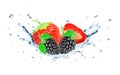 Strawberry and blackberry splash water Royalty Free Stock Photo