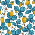 Strawberry with blue leaves seamless pattern. Yellow berries, strawberry plants, flowers isolated on white background. Hand drawn Royalty Free Stock Photo