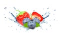 strawberry and blueberry splash water Royalty Free Stock Photo