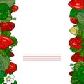 Strawberry border, frame drawing.