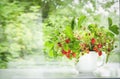 Strawberry bouquet