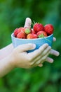 Strawberry in bowl with hands