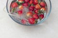 strawberry in a bowl with water with a round ozonating stone. Tubes leading to oxygen pump and ozone generator