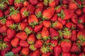 Strawberry box placed on a wooden table, healthy living concept Royalty Free Stock Photo