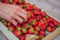 Strawberry box placed on a wooden table, healthy living concept Royalty Free Stock Photo