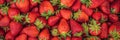 Strawberry box placed on a wooden table, healthy living concept BANNER, LONG FORMAT Royalty Free Stock Photo