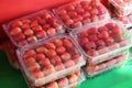 strawberry box for sale, fresh ripe strawberry harvest strawberries picking on plastic box in the garden fruit collected Royalty Free Stock Photo