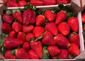 Strawberry box, with strawberry bottom Royalty Free Stock Photo