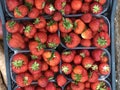 Strawberry in boxes on fruit shop Royalty Free Stock Photo