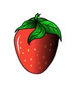 Strawberry bright red isolated on white background illustration 2D