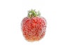 Strawberry in bubbles isolated Royalty Free Stock Photo
