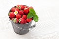 Strawberry in bucket Royalty Free Stock Photo