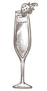 Strawberry and champagne or sparkling wine isolated sketch Royalty Free Stock Photo