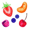 Strawberry cherry blueberry raspberry mandarin berry fruit sketch set isolated