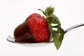 Strawberry with chocolate.