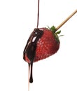 Strawberry in chocolate Royalty Free Stock Photo