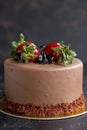 Strawberry and chocolate cake on a dark background. Close up brithday cake Royalty Free Stock Photo