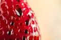 Strawberry with chocolate dressing - Macro