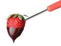 Strawberry with chocolate on fondue fork against white Royalty Free Stock Photo