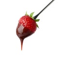 Strawberry with chocolate on fondue fork against background Royalty Free Stock Photo