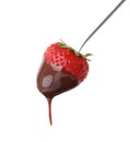 Strawberry with chocolate on fondue fork against background Royalty Free Stock Photo