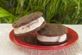 Strawberry Chocolate Ice Cream Sandwich Outdoors