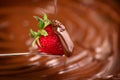 Strawberry in chocolate over swirl brown background. Melted Chocolate pouring on fresh ripe juicy strawberry close up. Dessert Royalty Free Stock Photo