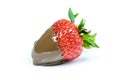 Strawberry in chocolate over white background Royalty Free Stock Photo