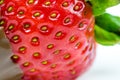 strawberry in chocolate over white background Royalty Free Stock Photo