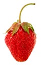 Strawberry close-up