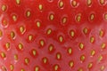 Strawberry close-up Royalty Free Stock Photo