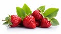 Strawberry close-up. Fresh red Strawberry on a white background texture. Strawberry with droplets of water. Diet healthy food. AI Royalty Free Stock Photo