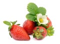 Strawberry. Royalty Free Stock Photo