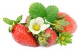 Strawberry. Royalty Free Stock Photo