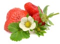 Strawberry. Royalty Free Stock Photo