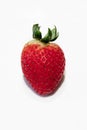 Strawberry close up on white plate Royalty Free Stock Photo