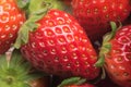 Strawberry Closeup