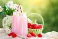 Strawberry cocktail or milkshake in a jar, basket with strawberries on a picnic, healthy food for Breakfast and snacks Royalty Free Stock Photo