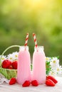 Strawberry cocktail or milkshake in a jar, basket with strawberries on a picnic, healthy food for Breakfast and snacks Royalty Free Stock Photo