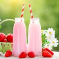 Strawberry cocktail or milkshake in a jar, basket with strawberries on a picnic, healthy food for Breakfast and snacks Royalty Free Stock Photo