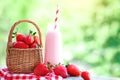 Strawberry cocktail or milkshake in a jar, basket with strawberries on a picnic, healthy food for Breakfast and snacks. Royalty Free Stock Photo