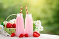 Strawberry cocktail or milkshake in a jar, basket with strawberries on a picnic, healthy food for Breakfast and snacks Royalty Free Stock Photo