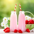 Strawberry cocktail or milkshake in a jar, basket with strawberries on a picnic, healthy food for Breakfast and snacks Royalty Free Stock Photo