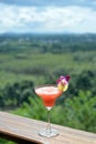 Strawberry Cocktails Royalty Free Stock Photo